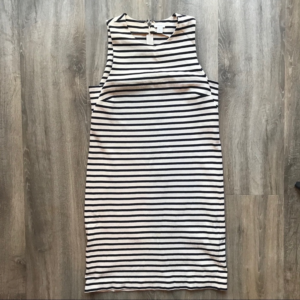 Fossil Linen Striped Dress
